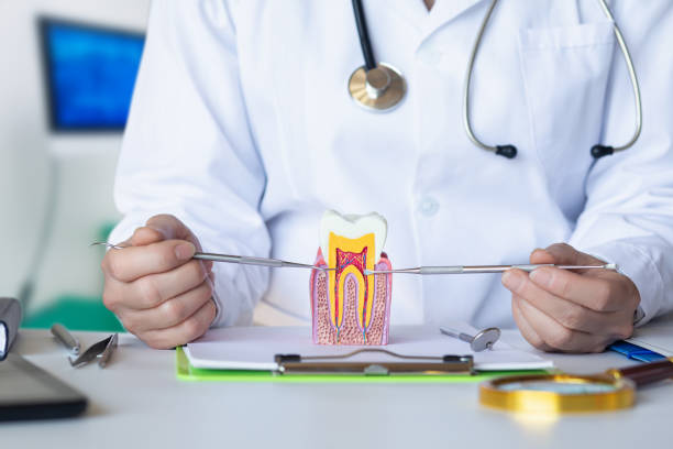 Best Holiday Emergency Dentist in Pana, IL